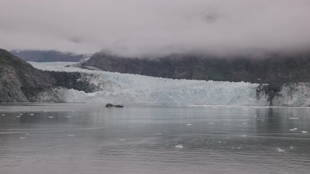 a wide shot of margerie glacier from a cruise ship at glacier bay, alaska of the usa