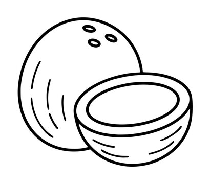 Hand-drawn vector line art icon of a whole coconut beside a halved coconut shell, showing the brown fibrous outer husk and smooth white inner meat, isolated minimalist outline illustration on a clean