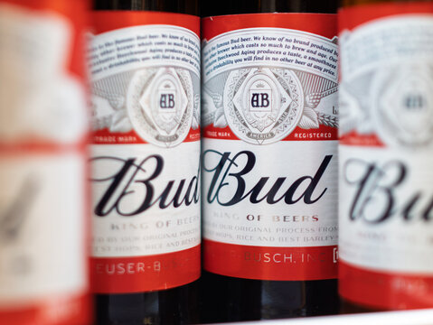 Budweiser Beer Bottles in Shelves, Popular American Lager