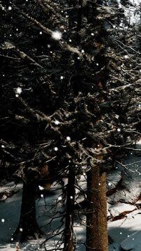 Snow falls softly in a winter forest. Pine trees stand tall with snow covering their branches. The ground shows hints of white snow and scattered logs. The scene is quiet and cold.