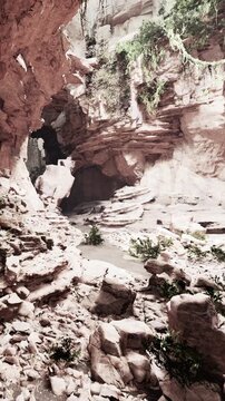 A canyon scene shows rock formations, plants, and sunlight filtering through. The terrain appears uneven with scattered stones and greenery in the setting.