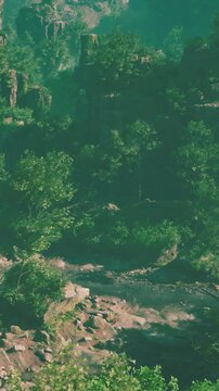 Green trees surround a rocky area near a stream. The scene shows sunlight filtering through the leaves. The stream flows gently, creating a natural setting with rocks and foliage.