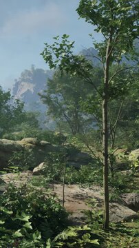 Sunlight filters through trees in a forest with green plants and rocks scattered on the ground. Mountains rise in the background, creating a natural landscape setting.