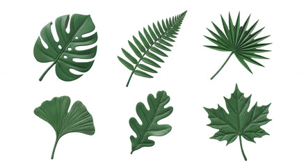 Fototapeta premium 3d rendered diverse green leaves on white background botanical forms for design and nature themed content