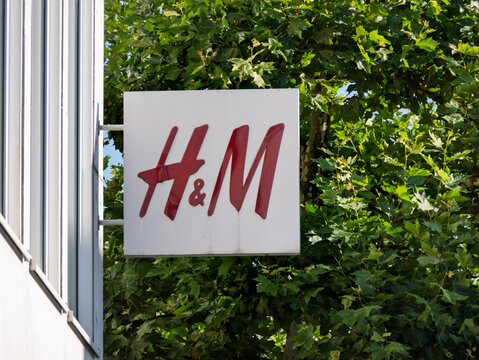 H and M Logo Against Lush Green Foliage Background