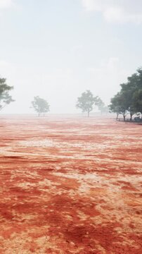 A dry landscape stretches out with a flat surface covered in red dirt. Sparse trees are seen in the distance against a light gray sky. The scene appears quiet and empty.