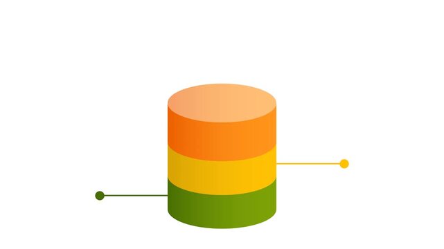 Animated 5 Level Database Infographic Timeline with Data Points