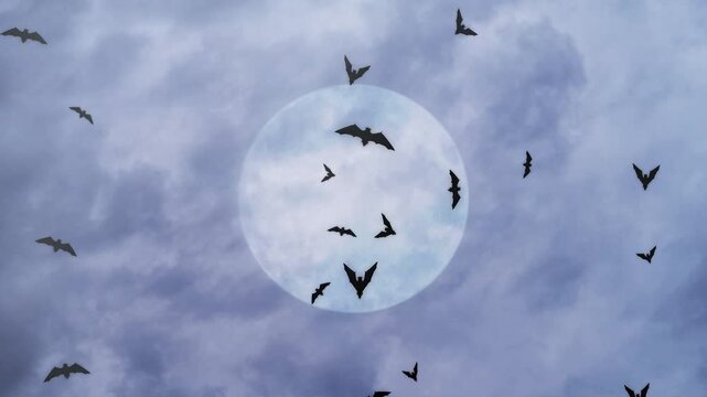 Bat Silhouettes Flying with Full Moon 4K Loop features silhouettes of bats flying in random patterns with a full moon and moving clouds behind them in a loop.