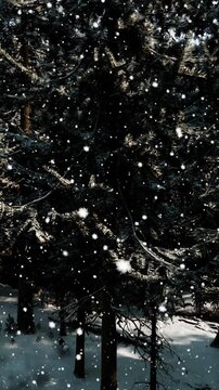 Snow falls from the sky and covers the ground in a forest. Tall trees stand tall as snowflakes dance through the air. It is a chilly day in winter where nature is covered in white.