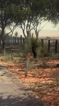 A dirt path runs beside a field with scattered trees. A post with a red marker stands beside the path. The sun shines down, creating a bright setting.