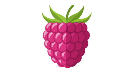 Fresh pink raspberry vector illustration, ripe summer berry icon with green leaves, flat design fruit graphic isolated on white background © Chrome