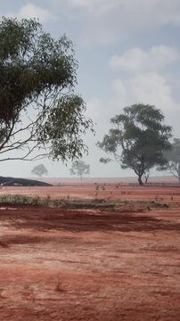 The scene shows red soil with scattered bushes and trees. The sky is covered with clouds. There are no people or structures visible in the area. This is a natural setting.
