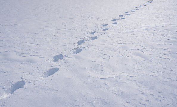 Step on snow covered ground. Winter walk with steps. Snow footstep on frozen pathway. Step in winter field. Frosty footstep on snow. Walking step along snowy path.