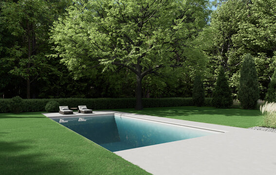 Luxury Swimming Pool in Backyard Surrounded by Green Trees