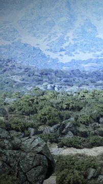 The scene shows a rocky area covered with green shrubs. Distant mountains are visible against a clear sky. This landscape exhibits a mix of textures and colors in natural light.