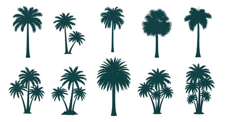 Fototapeta premium Tropical palm tree silhouettes, set of 10 dark green botanical vector elements, exotic summer plant icons for vacation and travel design
