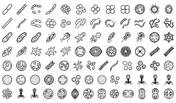Scientific Microbiology Sketch Icons with Bacteria and Microorganisms Vector Set