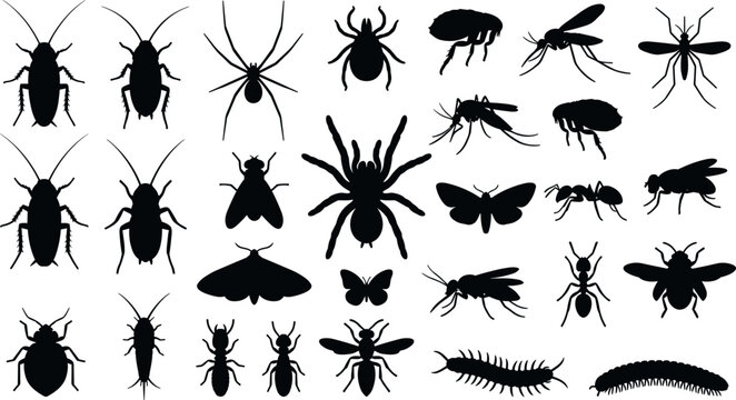 Black insect silhouettes vector set featuring cockroach spider mosquito ant fly flea bedbug caterpillar and termite icons