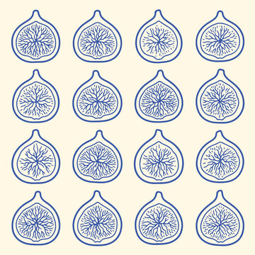 Seamless pattern of hand drawn blue fig halves on cream background with seamless illustration background wallpaper minimalist botanical packaging wrapping creative stylized internal