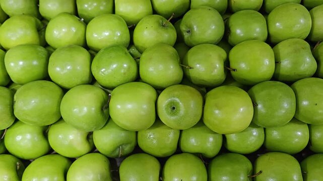 Fresh Green Apples Neatly Arranged in Rows at a Market Display