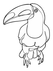 Obraz premium Toco toucan running minimalist line art icon. Generative AI