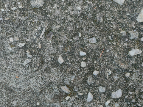 Close-up of rough asphalt concrete embedded with small white quartz pebbles and dark mossy weathering marks