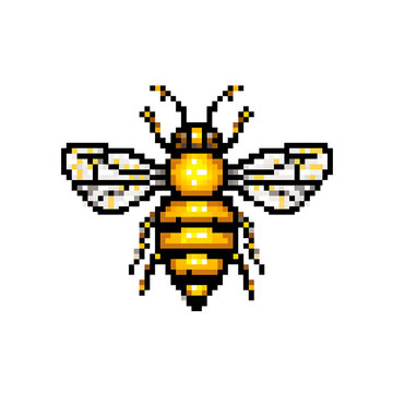 Pixel art bee insect isolated on white