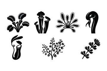 Exotic carnivorous plants and tropical species silhouettes with carnivorous, tropical © Sadek