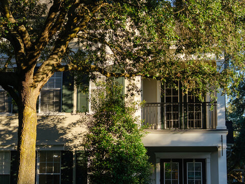 A large oak tree partially shades the balcony of a modern residential house. Sunlight highlights the elegant architecture in a quiet suburban neighborhood.