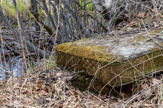 Parents, Quebec, 20 May 2026 : A moss-covered concrete block lies partially submerged in water, surrounded by dry branches and leaves.