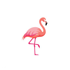 Fototapeta premium Pink flamingo illustration standing on one leg, tropical bird wildlife vector art isolated on white background