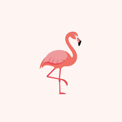 Obraz premium Pink flamingo character standing minimalist bird icon graphic for tropical vacation themes