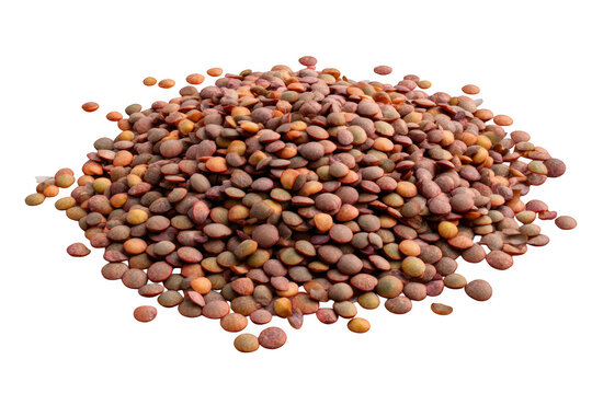 Heap of multicolored red and brown lentils in a natural rustic presentation style