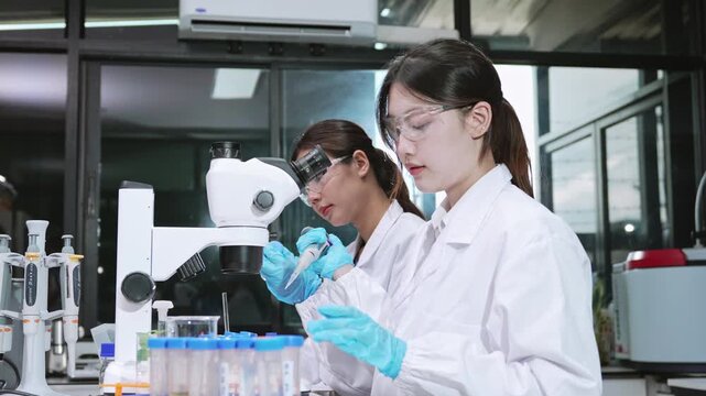 Focused Asian female scientist looking through microscope and pipetting liquid in cleanroom laboratory for eco-friendly biotechnology, botany agriculture, and sustainable development.