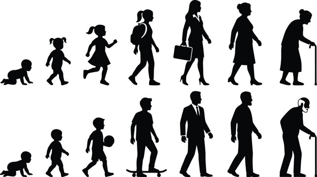Human life stages silhouette collection showing aging from infancy to old age development concept with development silhouette teenager
