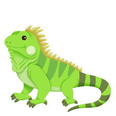Obraz premium Hand Drawn Green Iguana Clipart Isolated on Transparent Background