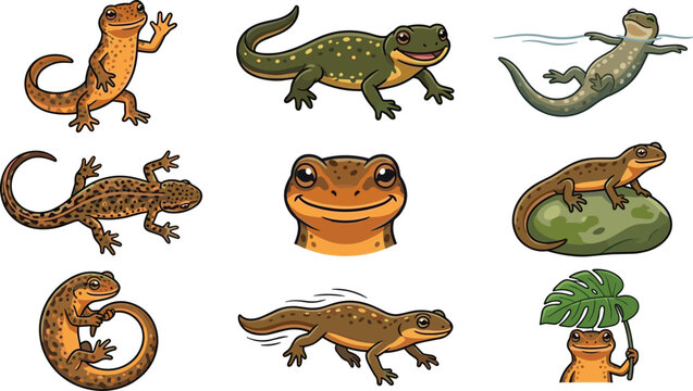 Cute Newt and Salamander Collection with Spotted Amphibians Swimming Crawling and Tropical Reptile Style Poses Vector Illustration