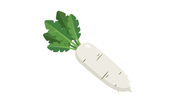 Daikon radish stands alone with its green leafy top clearly visible against a plain background.