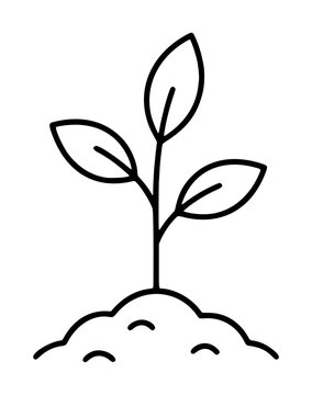Hand-drawn minimalist black vector icon of a young sapling with three leaves sprouting from soil, perfect for nature, growth, and eco-friendly design illustrations