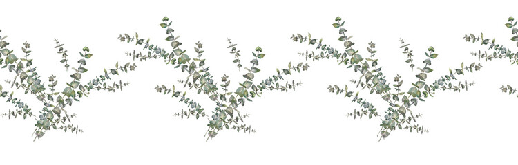 Seamless border with watercolor eucalyptus on white background. Hand-drawn botanical for wedding celebration. Green blue branch with leaves. Winter rim for wrapping or wallpaper and sketchbook © NatashaKun