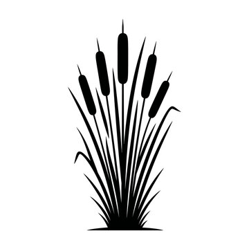 Cattails illustration presents a cluster of tall, slender marsh plants with distinctive cylindrical seed heads, rendered in solid black silhouette against a white background.