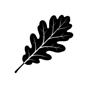 Oak leaf with distinct lobes and veins is depicted as a solid black silhouette illustration against a clean white backdrop.