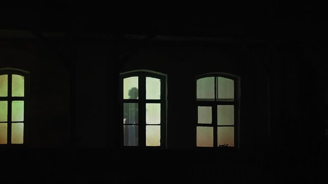 Silhouettes of people in windows glowing with warm atmospheric light. A woman takes a book from her home library in the evening and reads