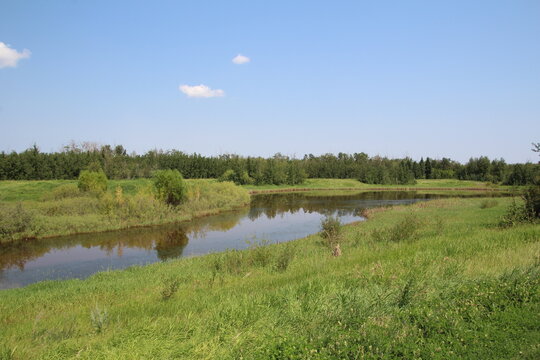 summer landscape with lake and trees