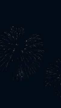 日本の花火大会