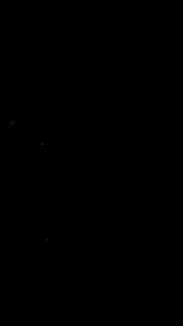 Bright orange lens flare with starburst on black background