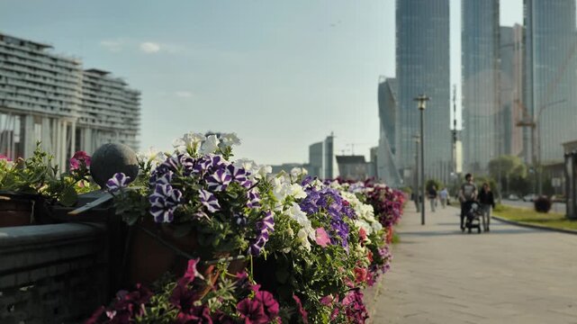 Urban sidewalk with colorful petunia flowers and Moscow city skyscrapers