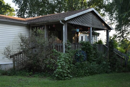 Overgrown Deck on a House