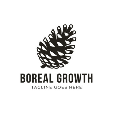 Stylized pine cone logo ideal for forestry, nature, or woodworking brands.