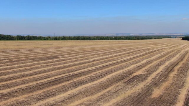 Aerial view of a vast harvested agricultural field with parallel tractor tracks and lines during autumn in Russia.